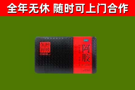 屯昌烟酒回收阿胶.jpg